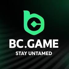 Exploring BC.Game Crypto Casino A Comprehensive Guide